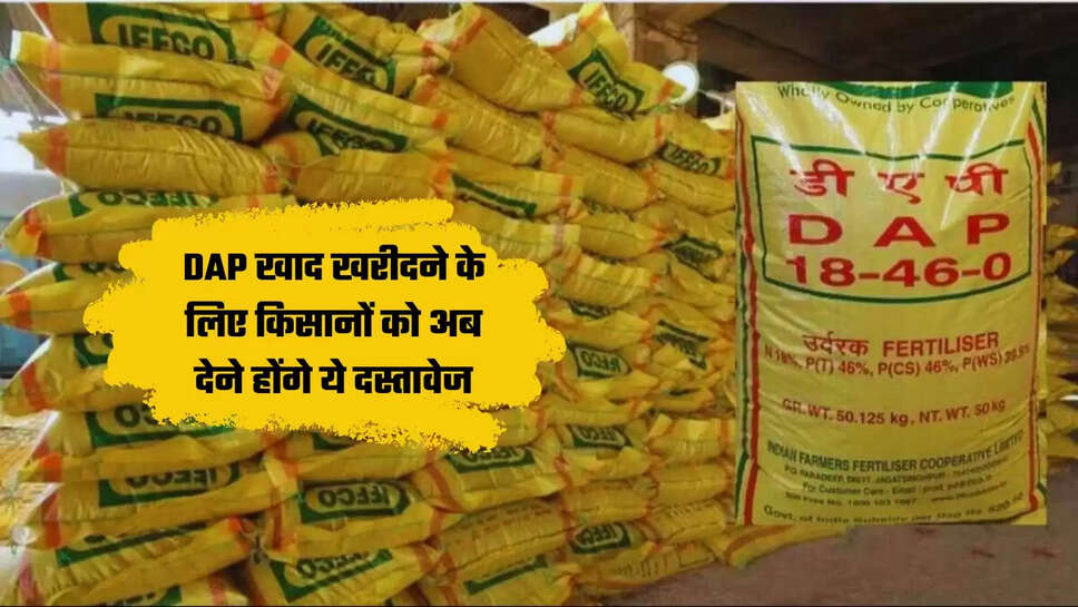 DAP Fertilizer