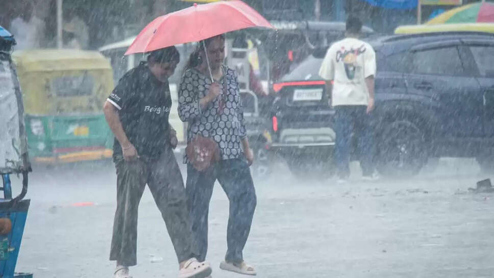 Haryana Rain Forecast 7 August 2025
